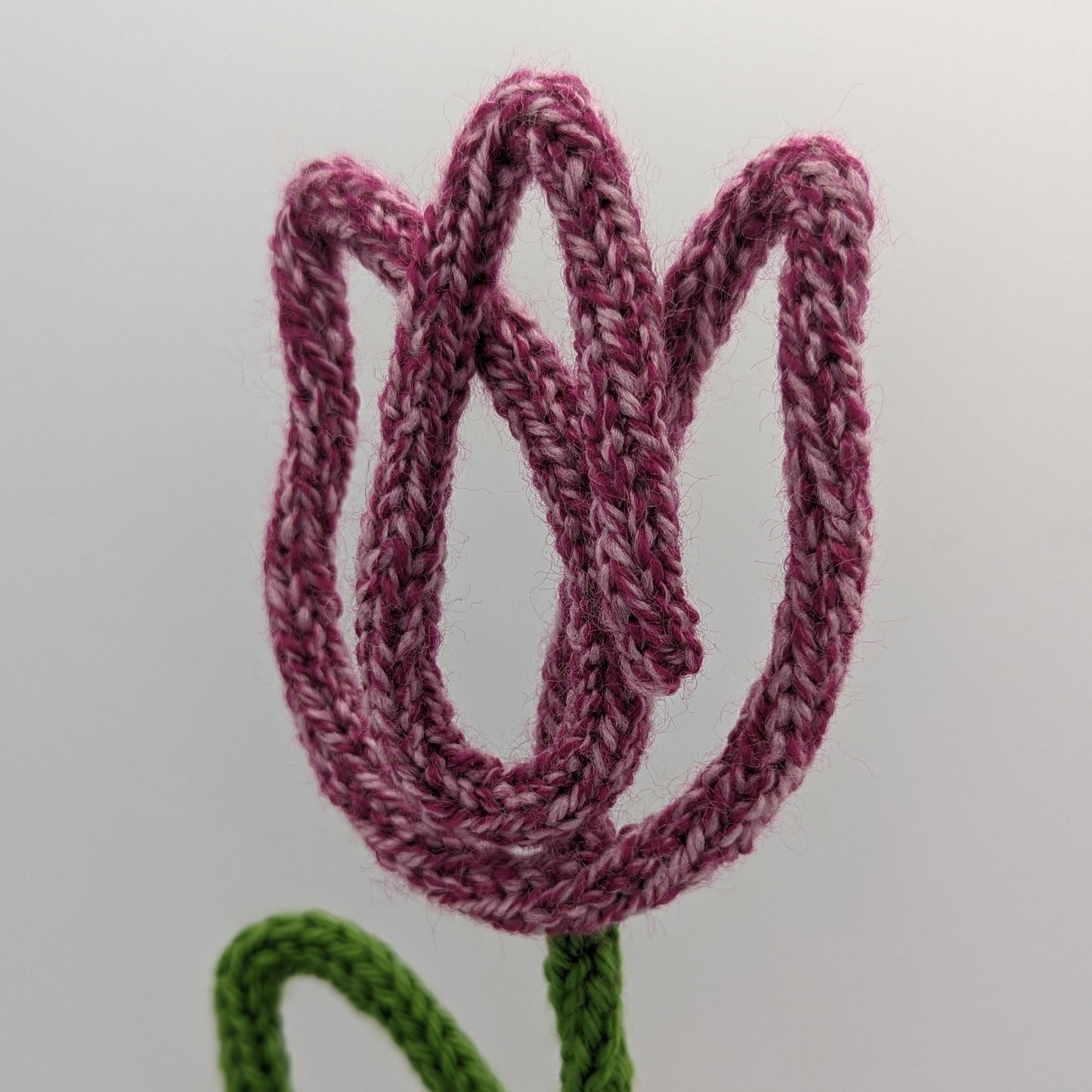 Tulip wire flower stem