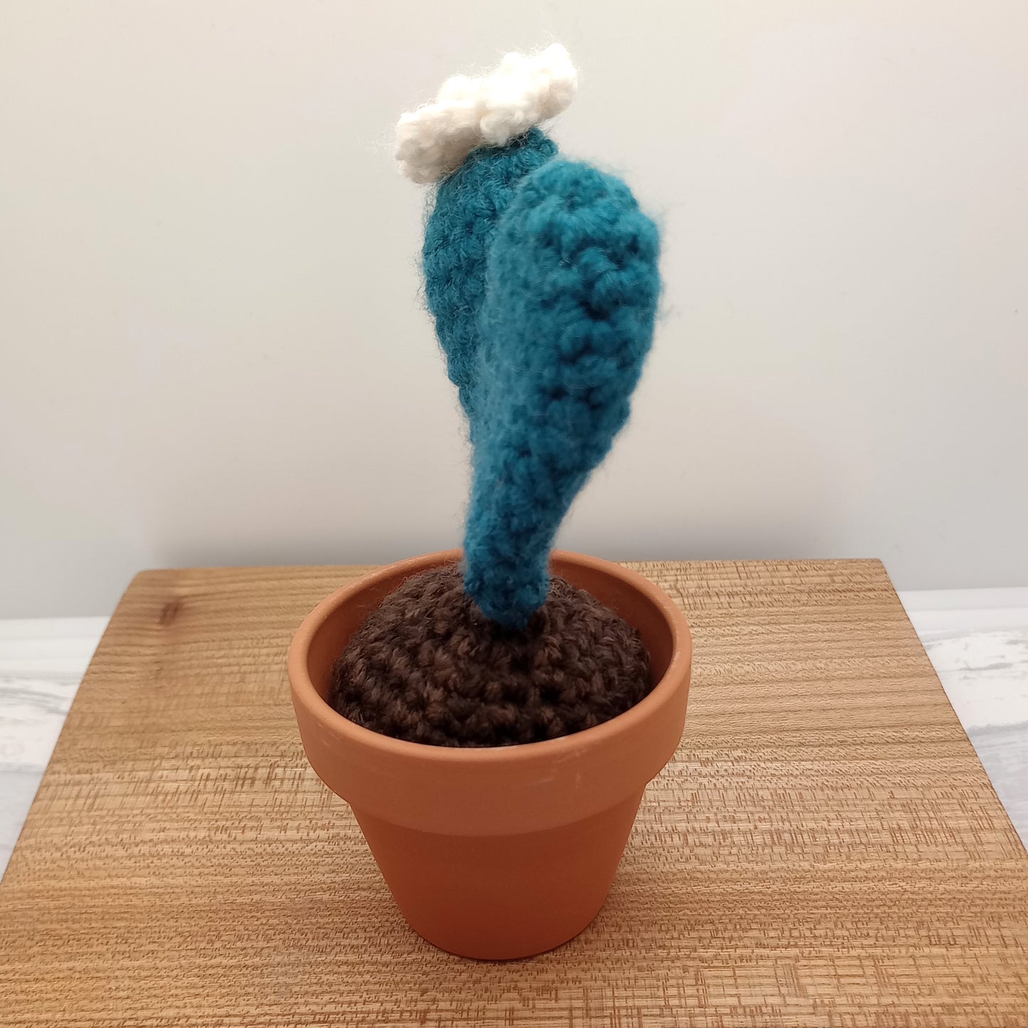 Large Heart Cactus, Crocheted Hoya Heart with white flower