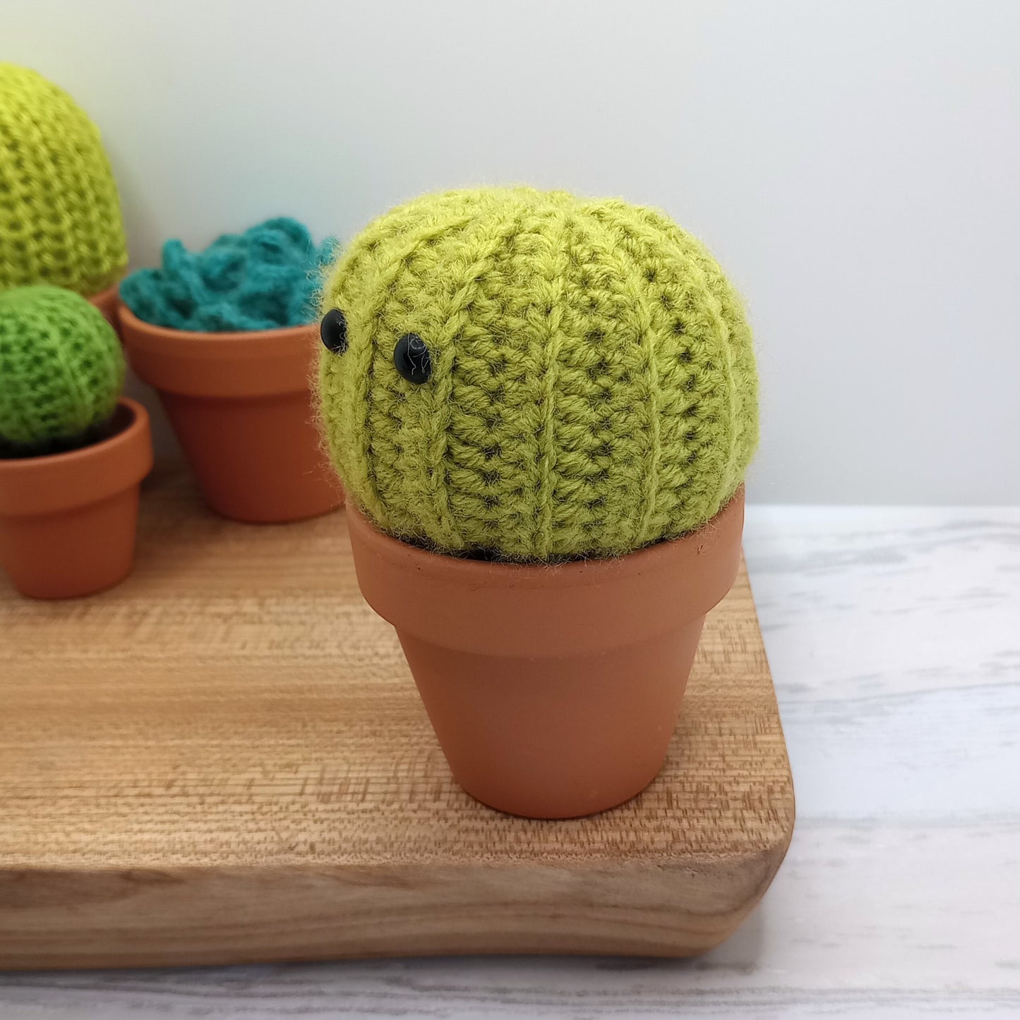 Large Green Barrel Cactus with Eyes