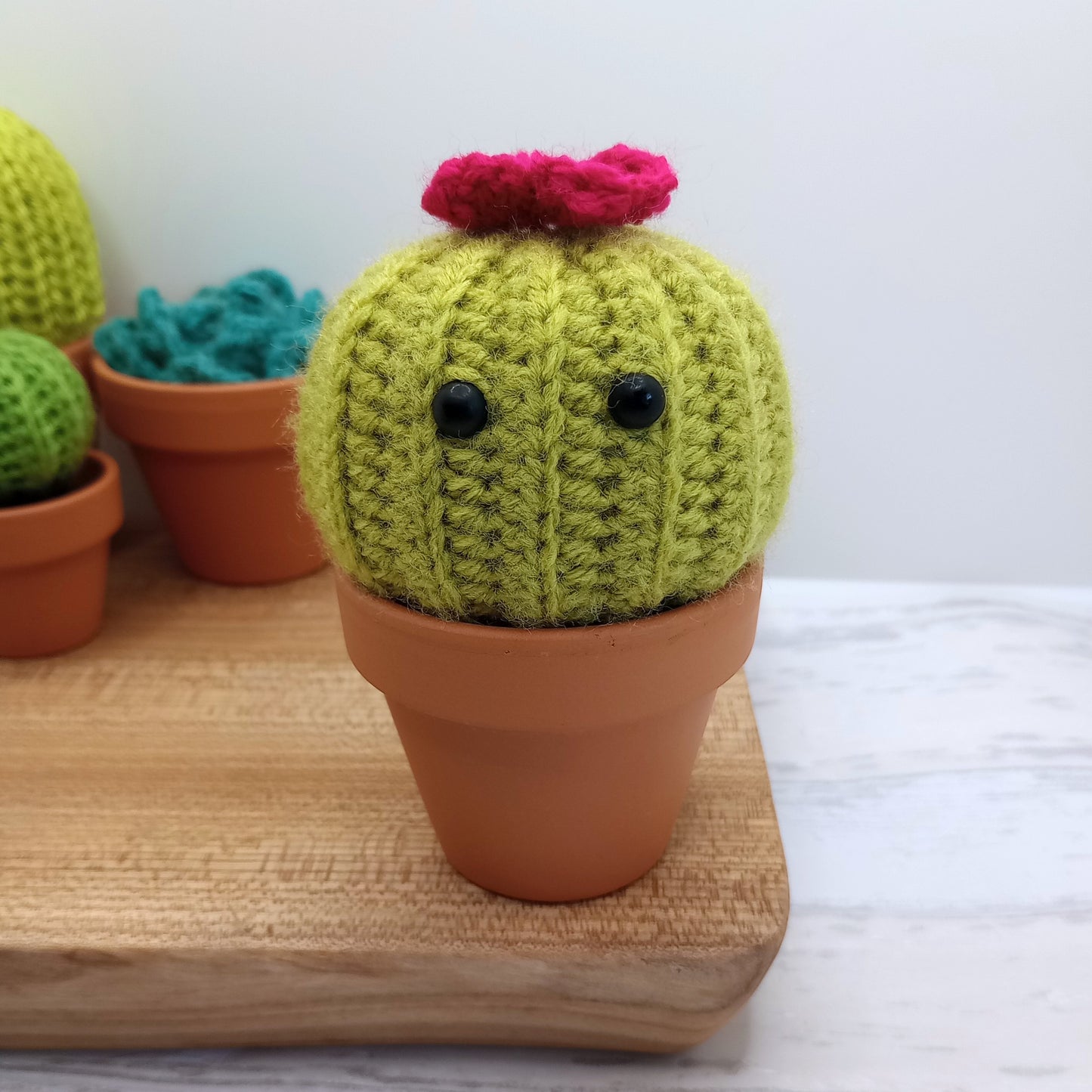 Large Green Barrel Cactus with Eyes