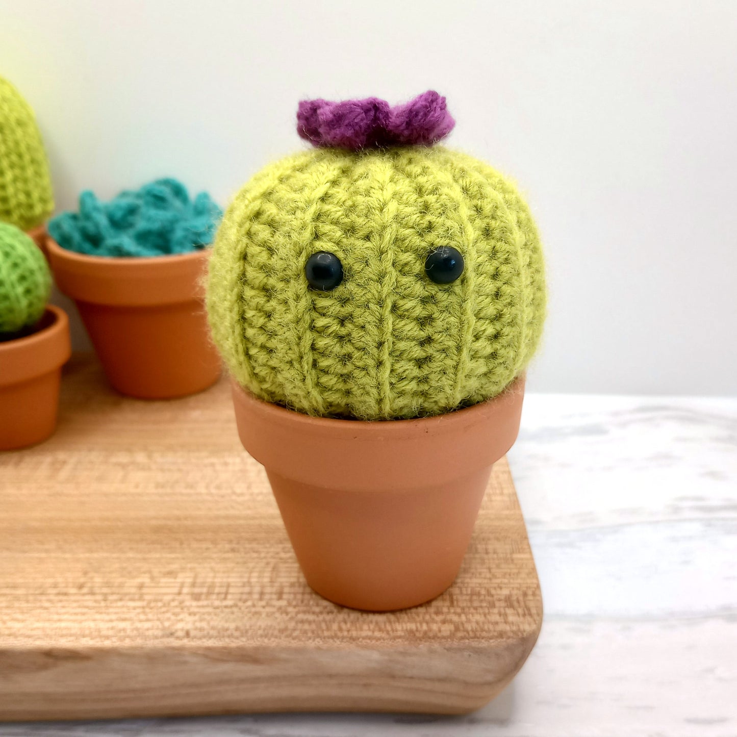 Large Green Barrel Cactus with Eyes