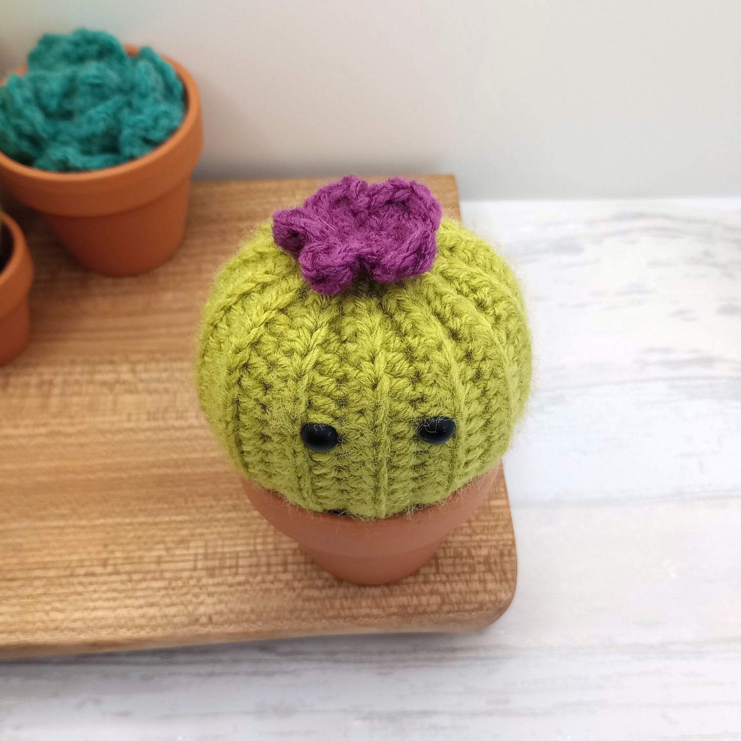 Large Green Barrel Cactus with Eyes