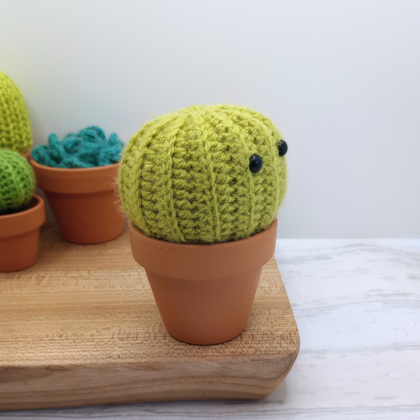 Large Green Barrel Cactus with Eyes