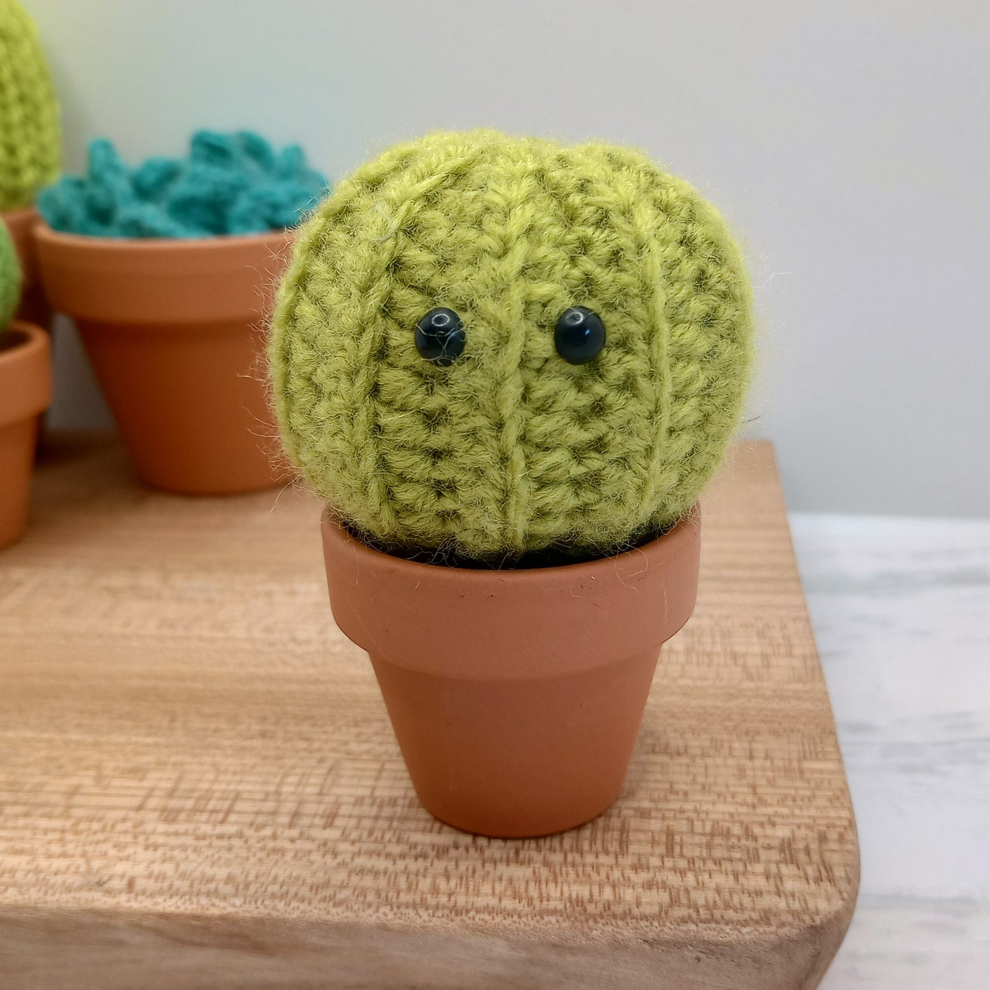 Mini Barrel Cactus with Eyes and flower