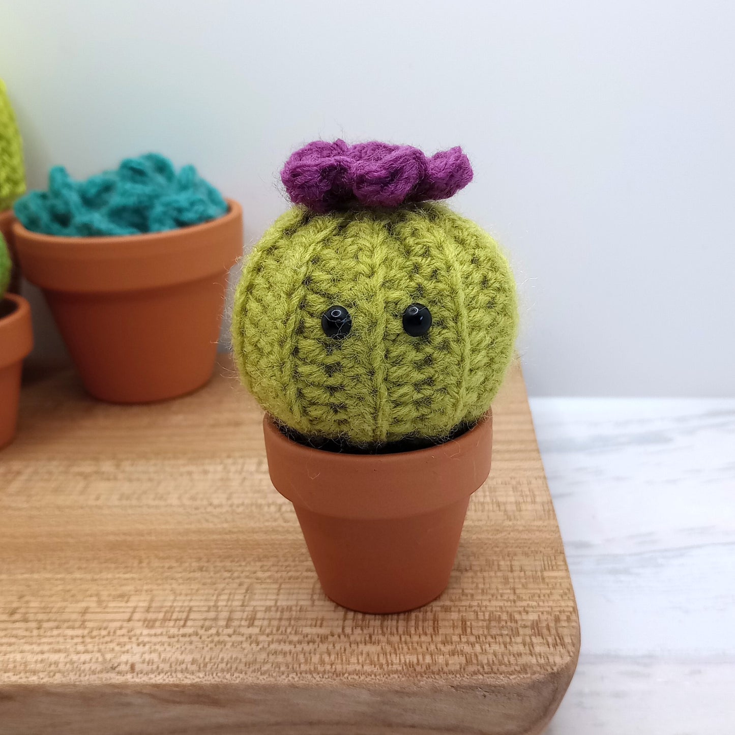 Mini Barrel Cactus with Eyes and flower