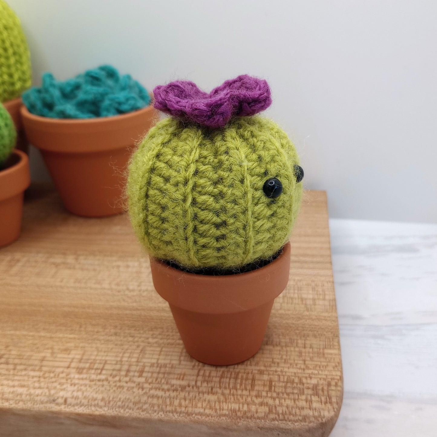 Mini Barrel Cactus with Eyes and flower