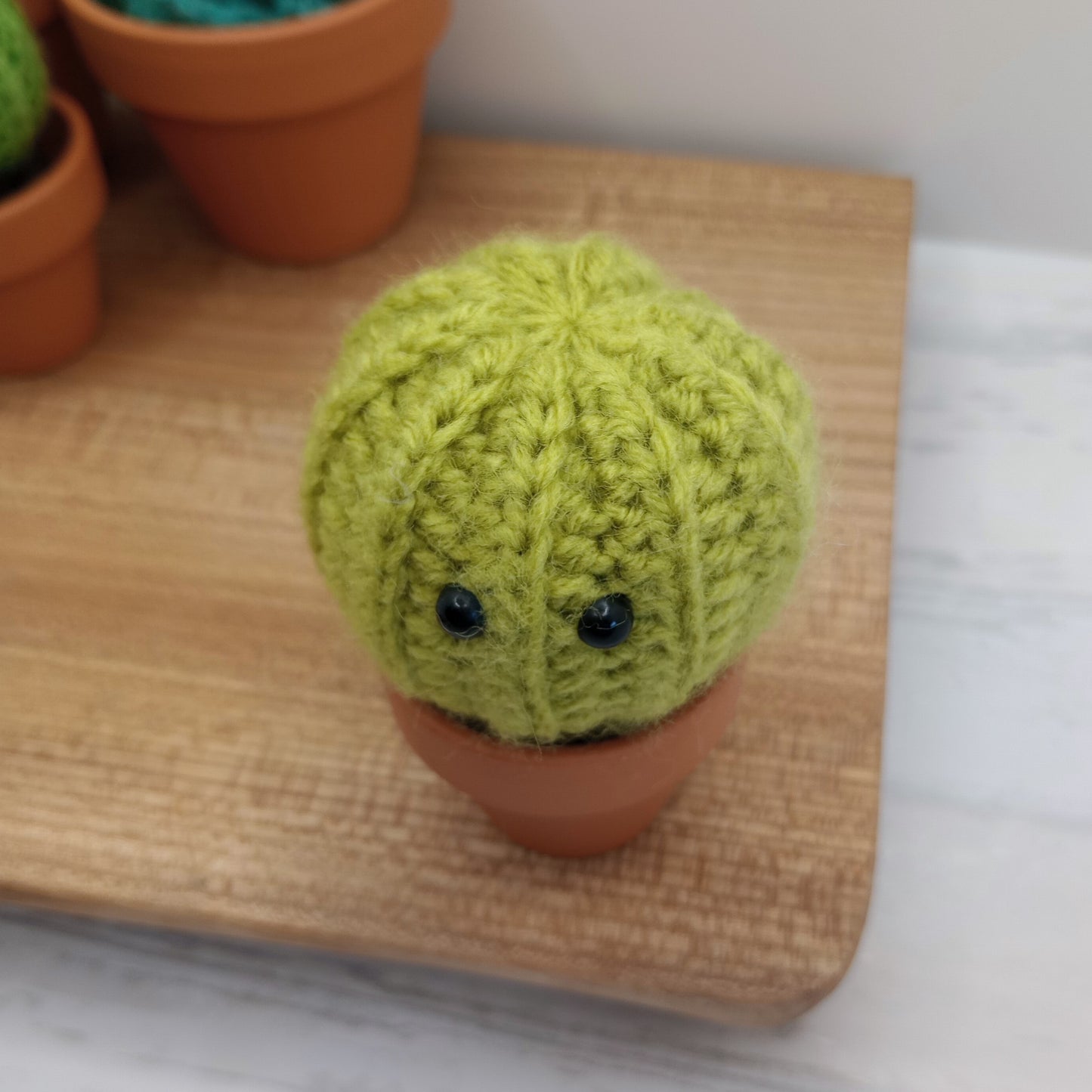 Mini Barrel Cactus with Eyes and flower