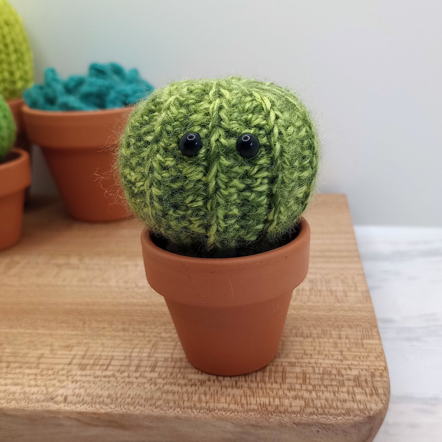 Mini Barrel Speckled Cactus with Eyes and flower