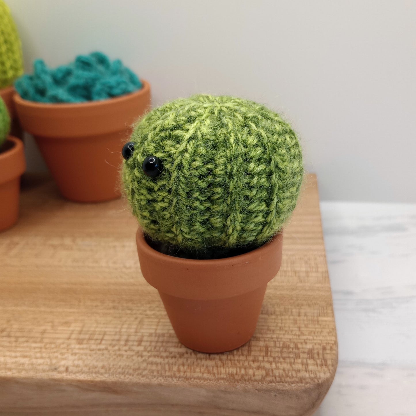 Mini Barrel Speckled Cactus with Eyes and flower