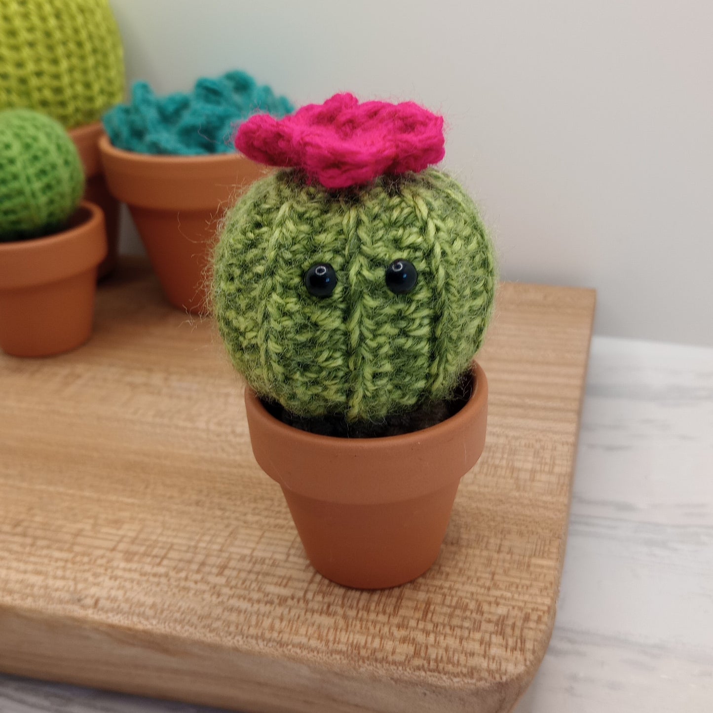 Mini Barrel Speckled Cactus with Eyes and flower