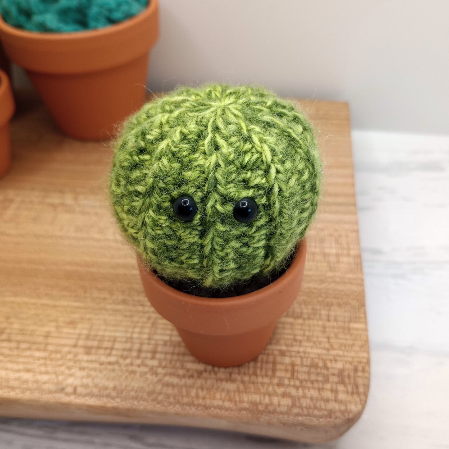 Mini Barrel Speckled Cactus with Eyes and flower