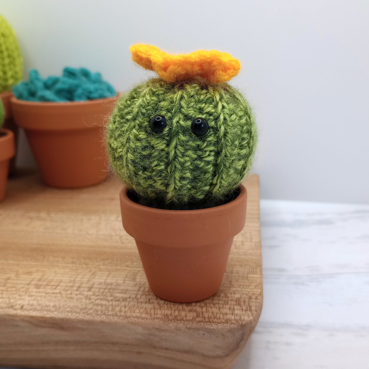 Mini Barrel Speckled Cactus with Eyes and flower