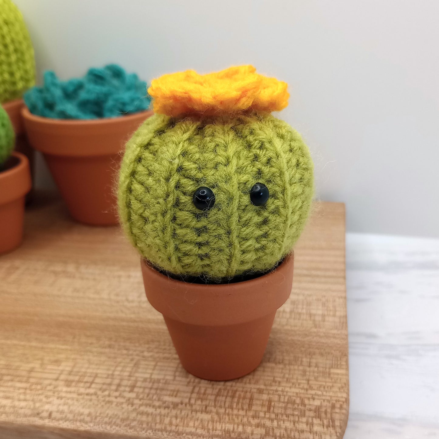 Mini Barrel Cactus with Eyes and flower