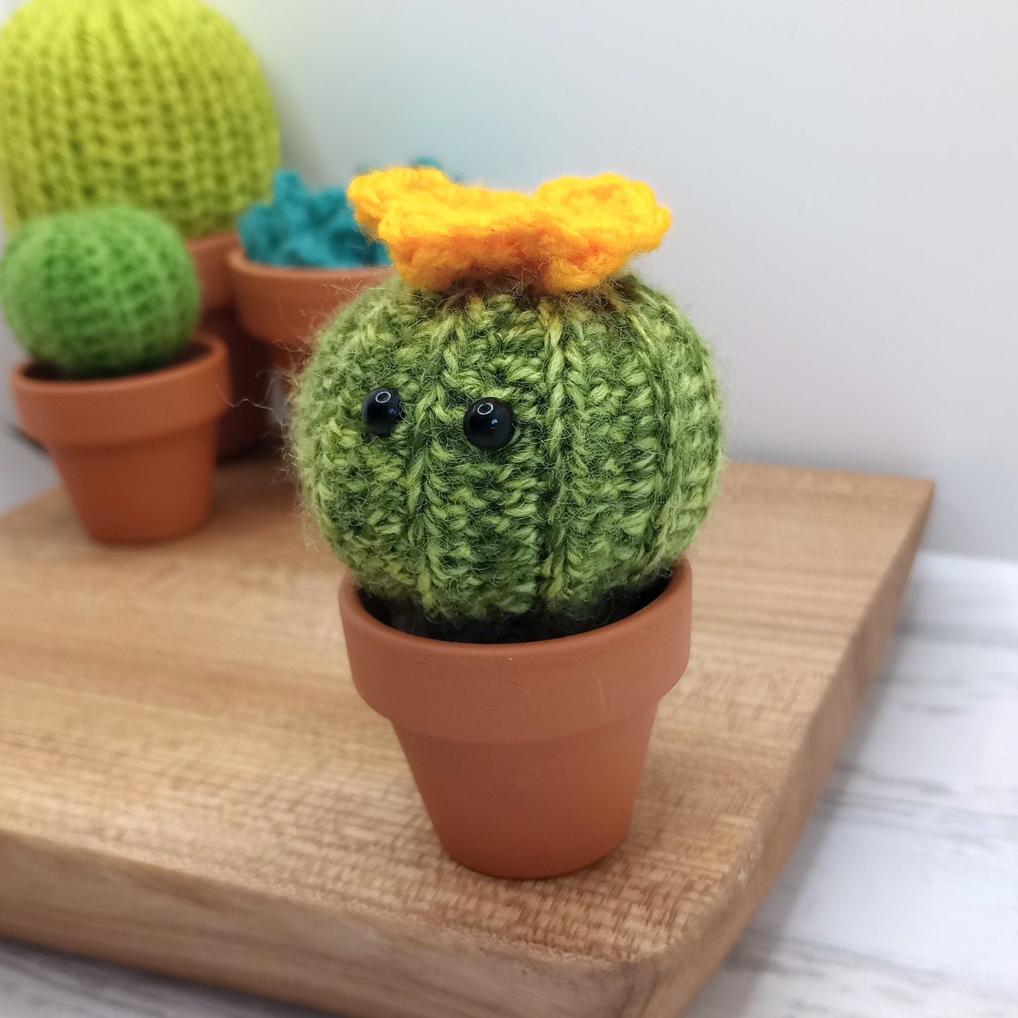 Mini Barrel Speckled Cactus with Eyes and flower