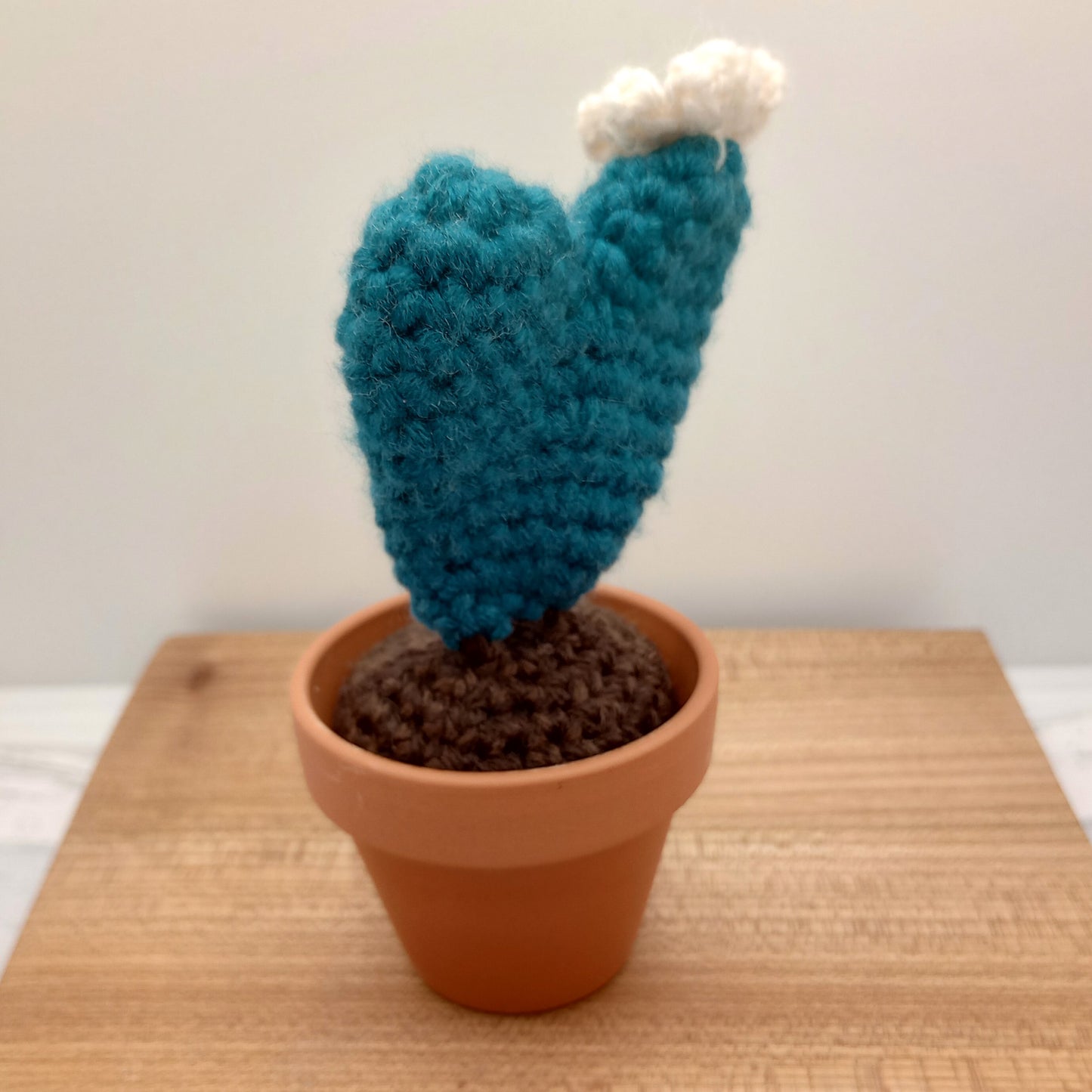 Large Heart Cactus, Crocheted Hoya Heart with white flower