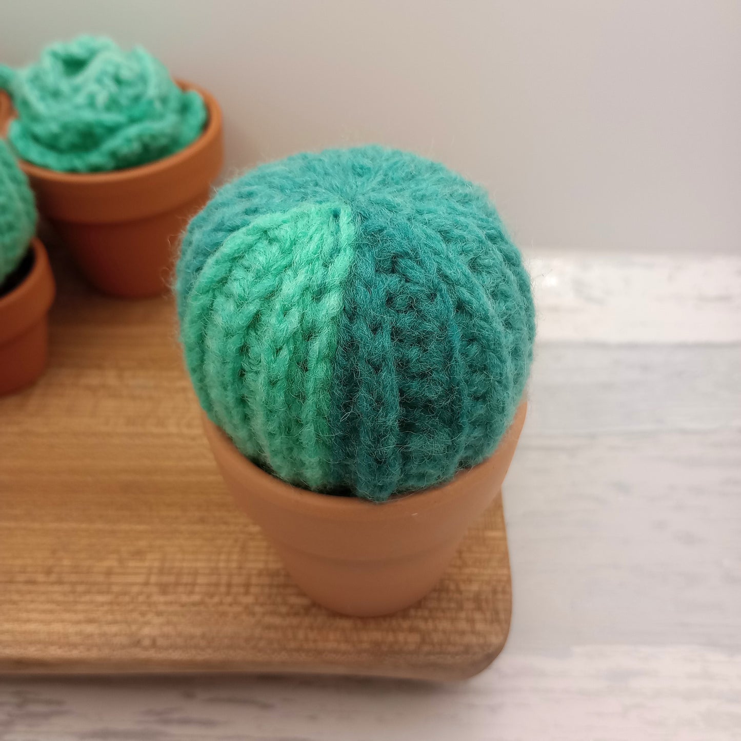 Limited Edition Large Barrel Cactus