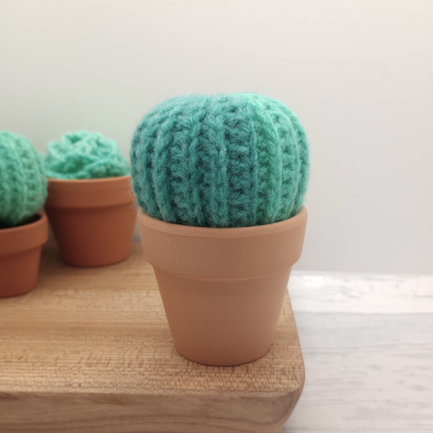Limited Edition Large Barrel Cactus