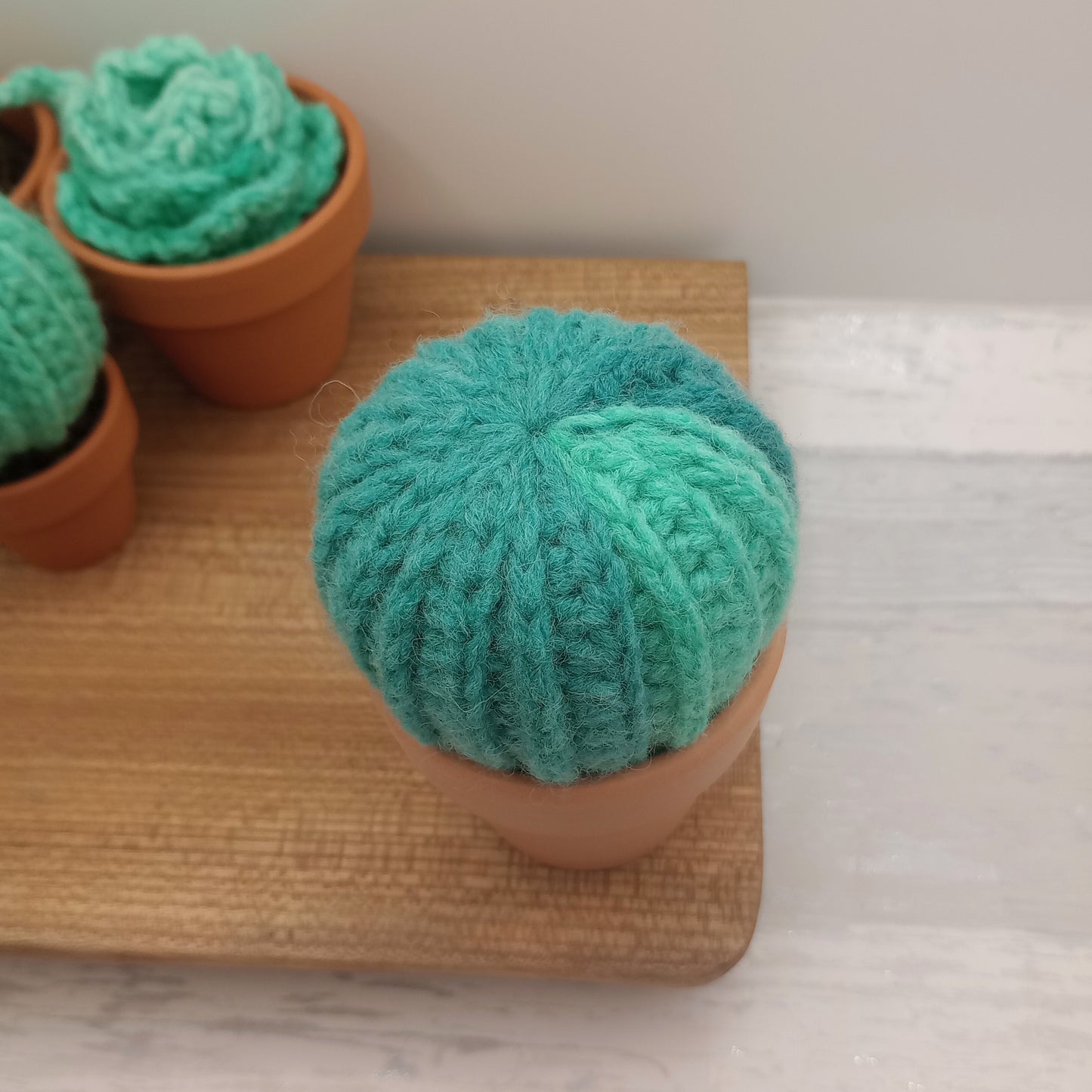 Limited Edition Large Barrel Cactus