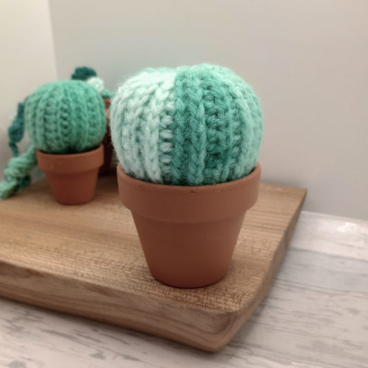 Limited Edition Large Barrel Cactus