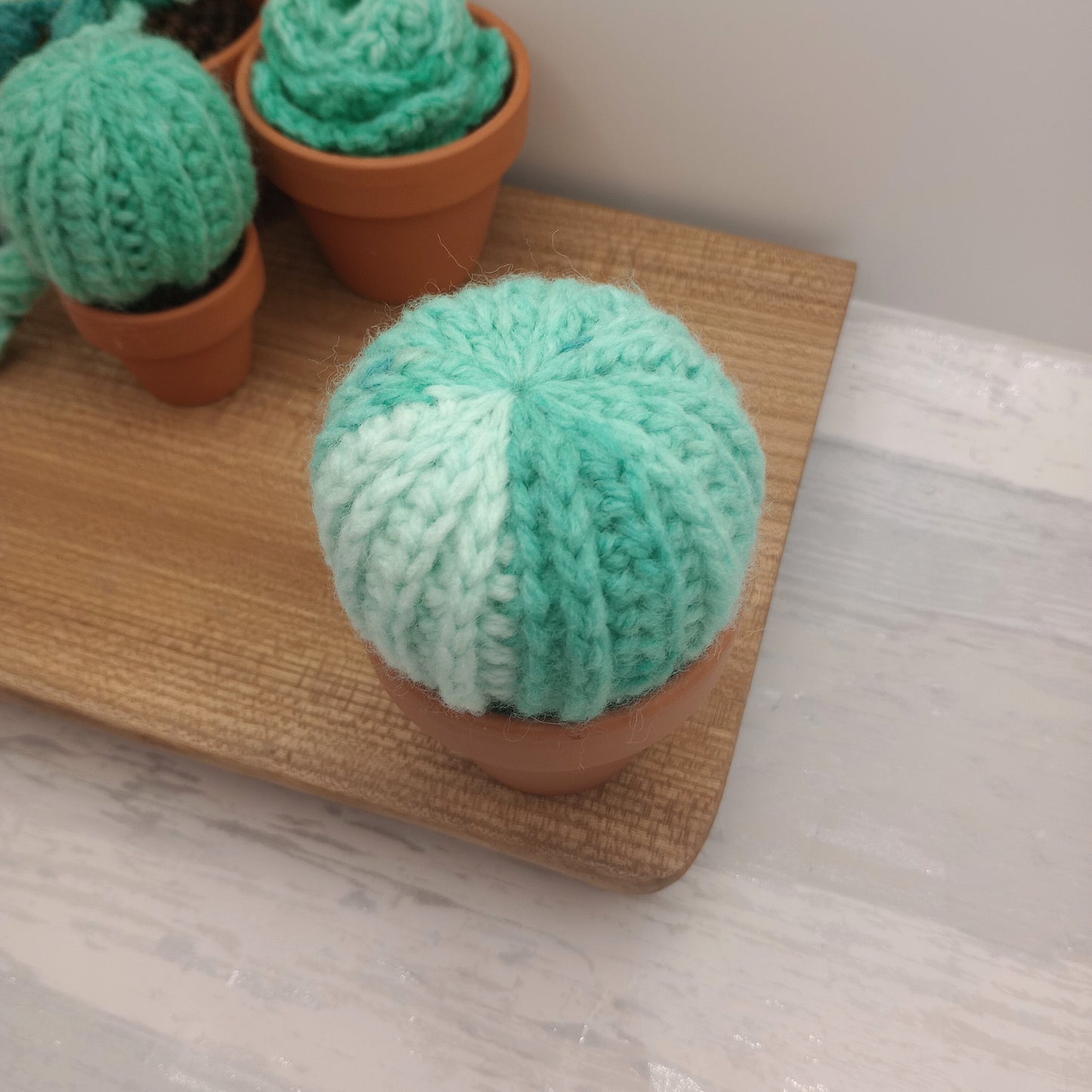 Limited Edition Large Barrel Cactus