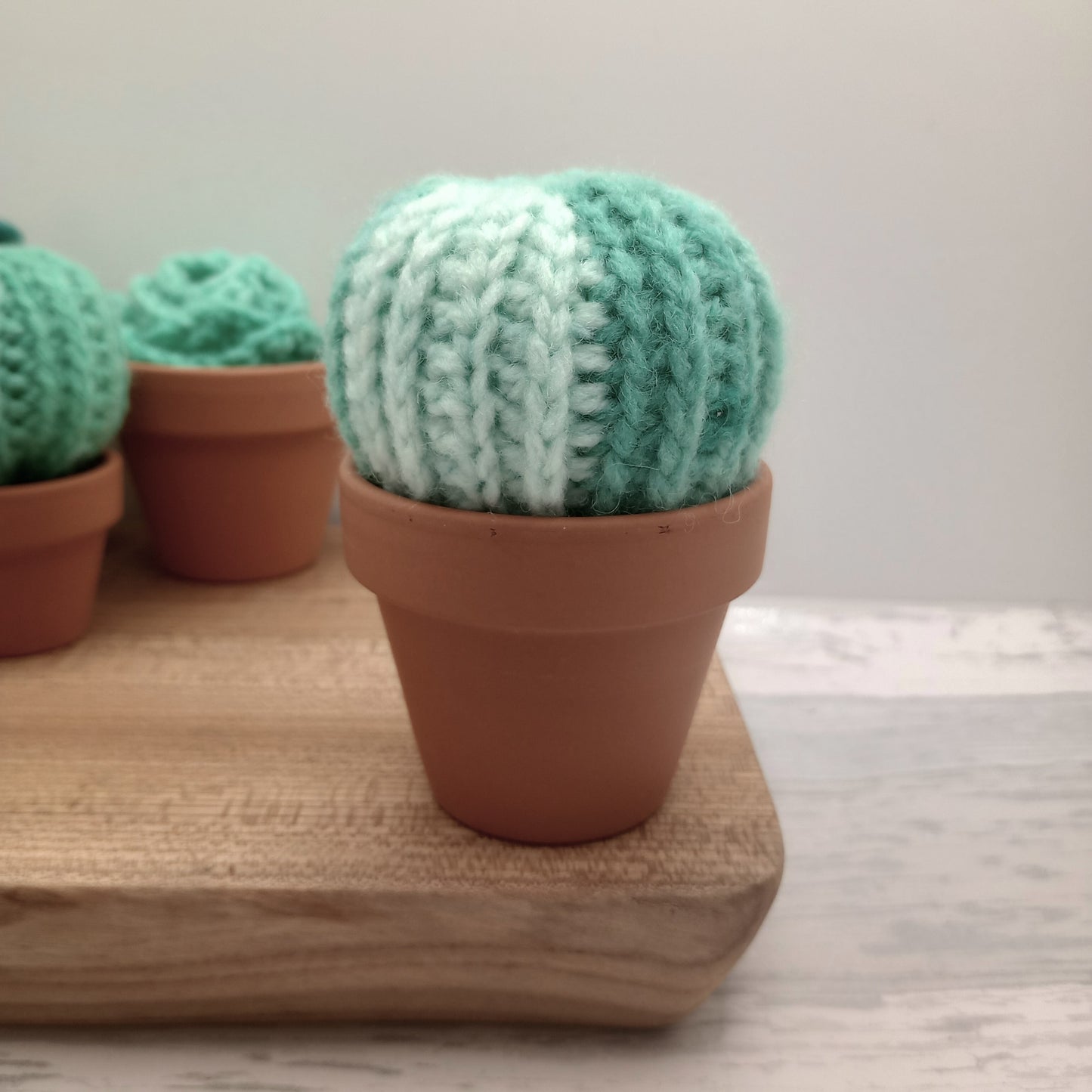 Limited Edition Large Barrel Cactus