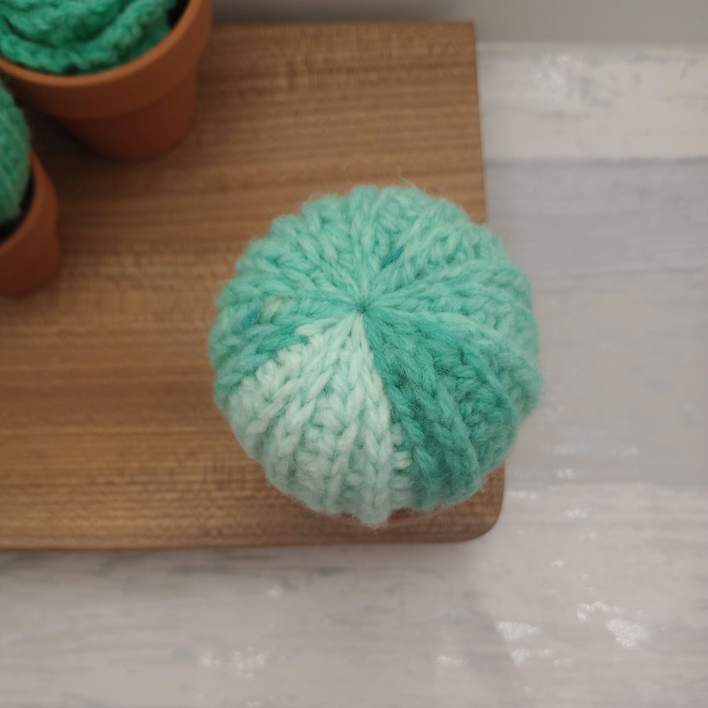 Limited Edition Large Barrel Cactus