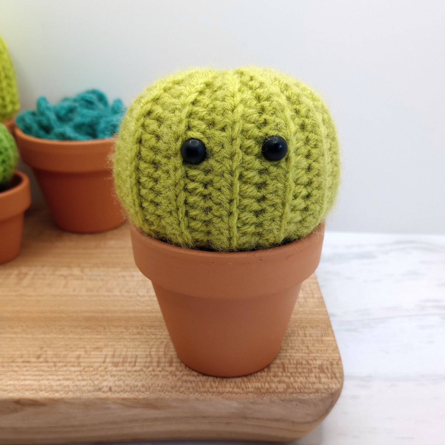 Large Green Barrel Cactus with Eyes