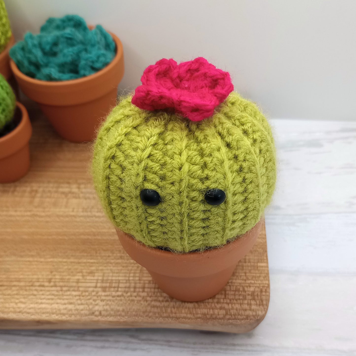 Large Green Barrel Cactus with Eyes