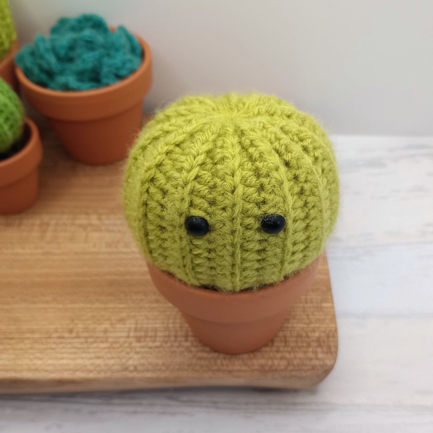 Large Green Barrel Cactus with Eyes