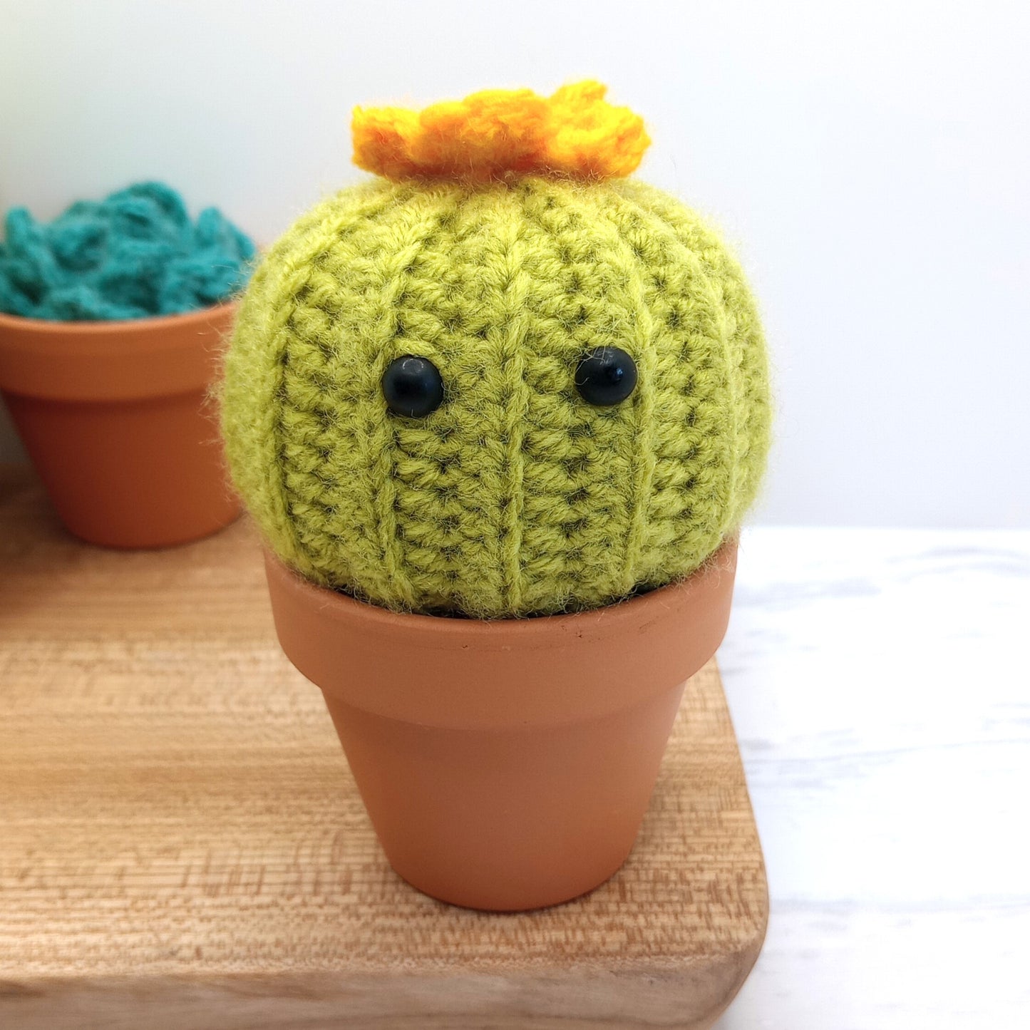 Large Green Barrel Cactus with Eyes