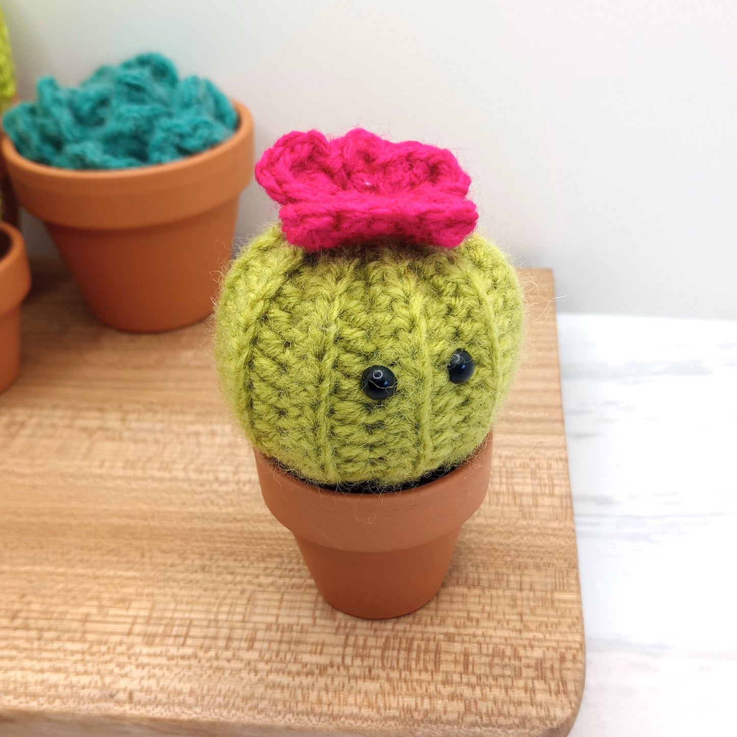 Mini Barrel Cactus with Eyes and flower