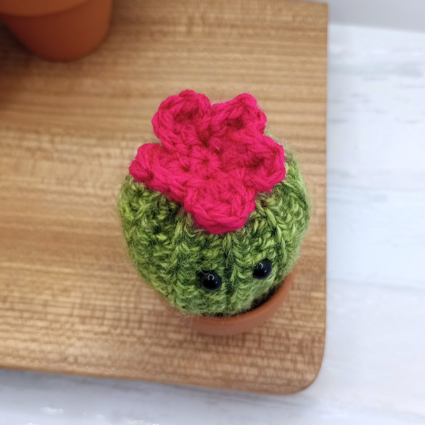 Mini Barrel Speckled Cactus with Eyes and flower